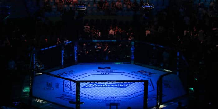 คาลวิน กาสเทลัม ปะทะ โจ ไพเฟร์ UFC 316 ออด, เวลา และการทำนาย
